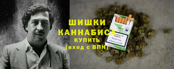 сатива Лагань