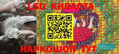 индика Бийск
