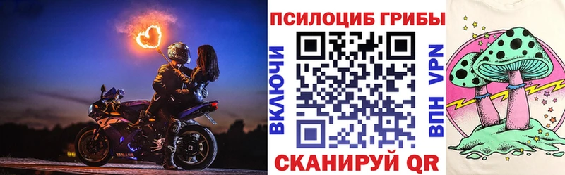 Галлюциногенные грибы мицелий  ОМГ ОМГ маркетплейс  darknet как зайти  как найти закладки  Зеленогорск 