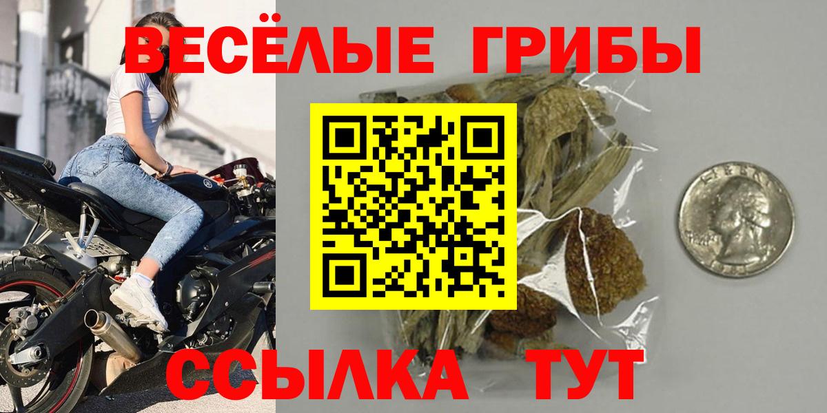 Зеленогорск  Галлюциногенные грибы прущие грибы  Вход с VPN 