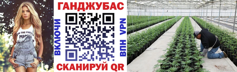 купить   Зеленогорск  МАРИХУАНА ГИДРОПОН 